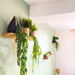 Apartamento Le Patio ※ Carnot *