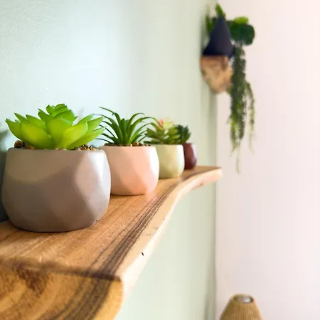 Apartamento Le Patio ※ Carnot