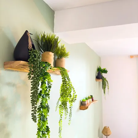 Appartement Le Patio ※ Carnot *