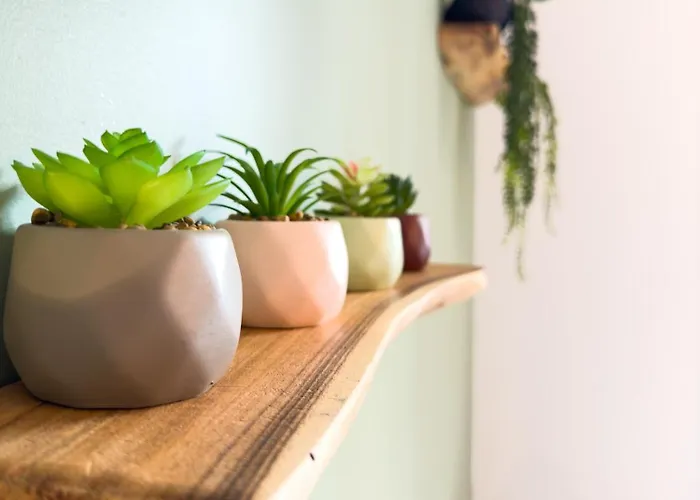 Apartamento Le Patio ※ Carnot