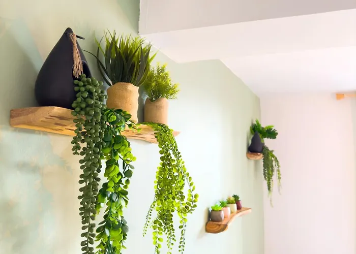 Apartamento Le Patio ※ Carnot *