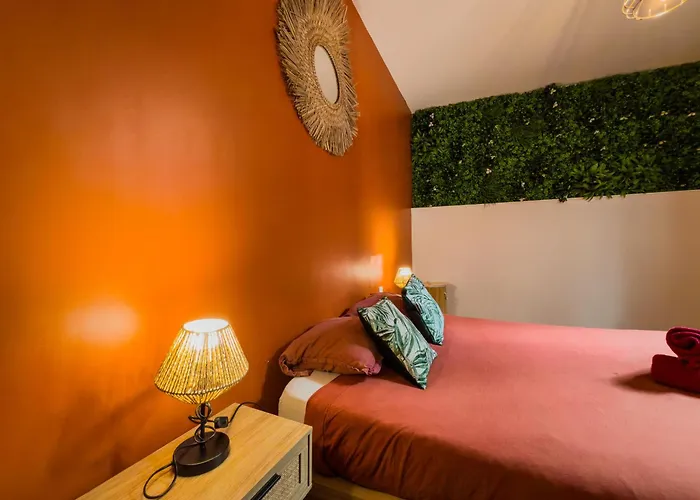 Le Patio ※ Carnot Appartement Carcassonne